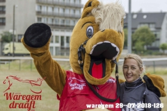 waregem 29--07-2018-126