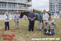 waregem 29-07-2018-323