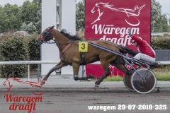 waregem 29-07-2018-325
