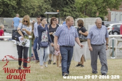 waregem 29-07-2018-329