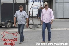 waregem 29-07-2018-336