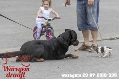 waregem 29-07-2018-339