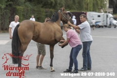 waregem 29-07-2018-340