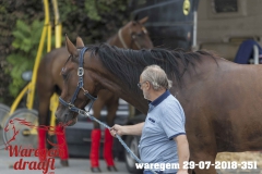 waregem 29-07-2018-351