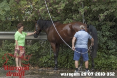 waregem 29-07-2018-352