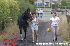 waregem 29-07-2018-357