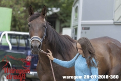 waregem 29-07-2018-360