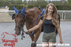 waregem 29-07-2018-366