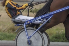 waregem 29-07-2018-386