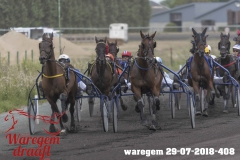 waregem 29-07-2018-408