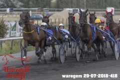 waregem 29-07-2018-418