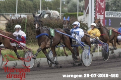 waregem 29-07-2018-460