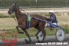 waregem 29-07-2018-471