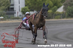 waregem 29-07-2018-485
