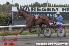 waregem 29-07-2018-490