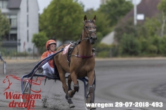 waregem 29-07-2018-493
