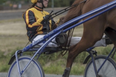 waregem 29-07-2018-495