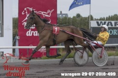 waregem 29-07-2018-499