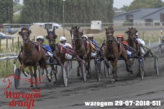 waregem 29-07-2018-511