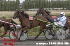 waregem 29-07-2018-516