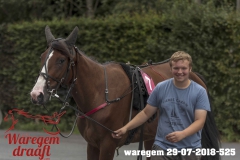 waregem 29-07-2018-525