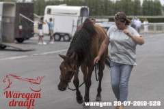 waregem 29-07-2018-528