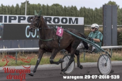 waregem 29-07-2018-539