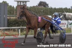 waregem 29-07-2018-540