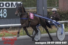 waregem 29-07-2018-547