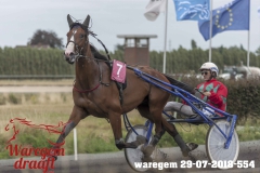 waregem 29-07-2018-554