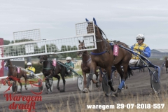 waregem 29-07-2018-557