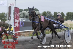 waregem 29--07-2018-561
