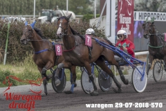 waregem 29-07-2018-570