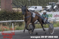 waregem 29-07-2018-612