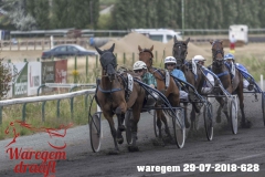waregem 29-07-2018-628