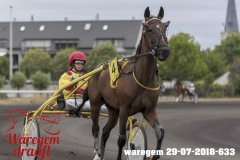 waregem 29-07-2018-633