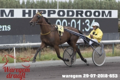 waregem 29-07-2018-653