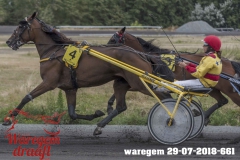 waregem 29-07-2018-661