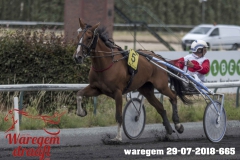 waregem 29-07-2018-665