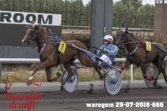 waregem 29-07-2018-666